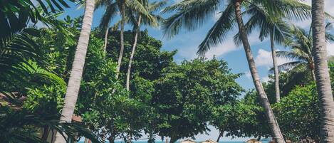 Una piscina al aire libre (de 07:30 a 18:00), sombrillas, tumbonas
