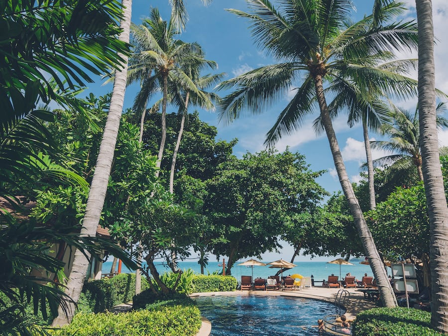 Una piscina al aire libre, sombrillas, sillones reclinables de piscina