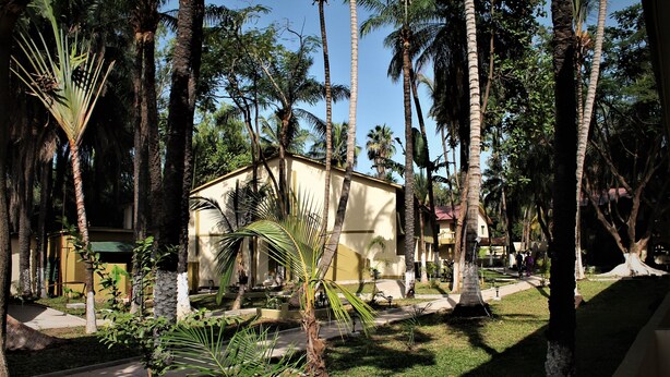 A tropical resort with palm trees, a pathway, and a building with a yellow facade. - Badala Park Hotel (Serrekunda)