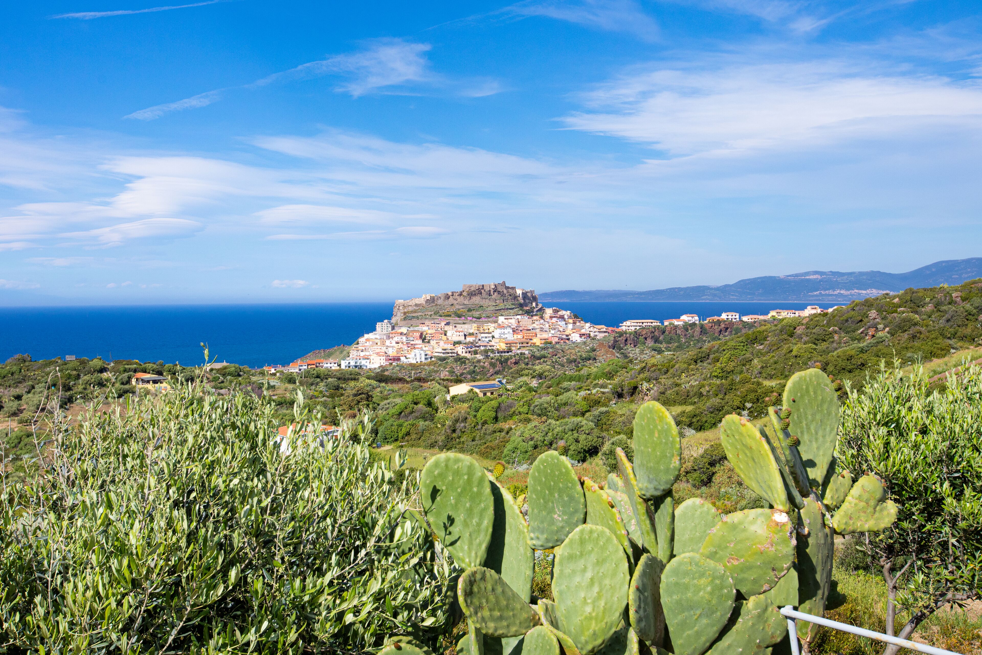 junior room, sea view | view from room