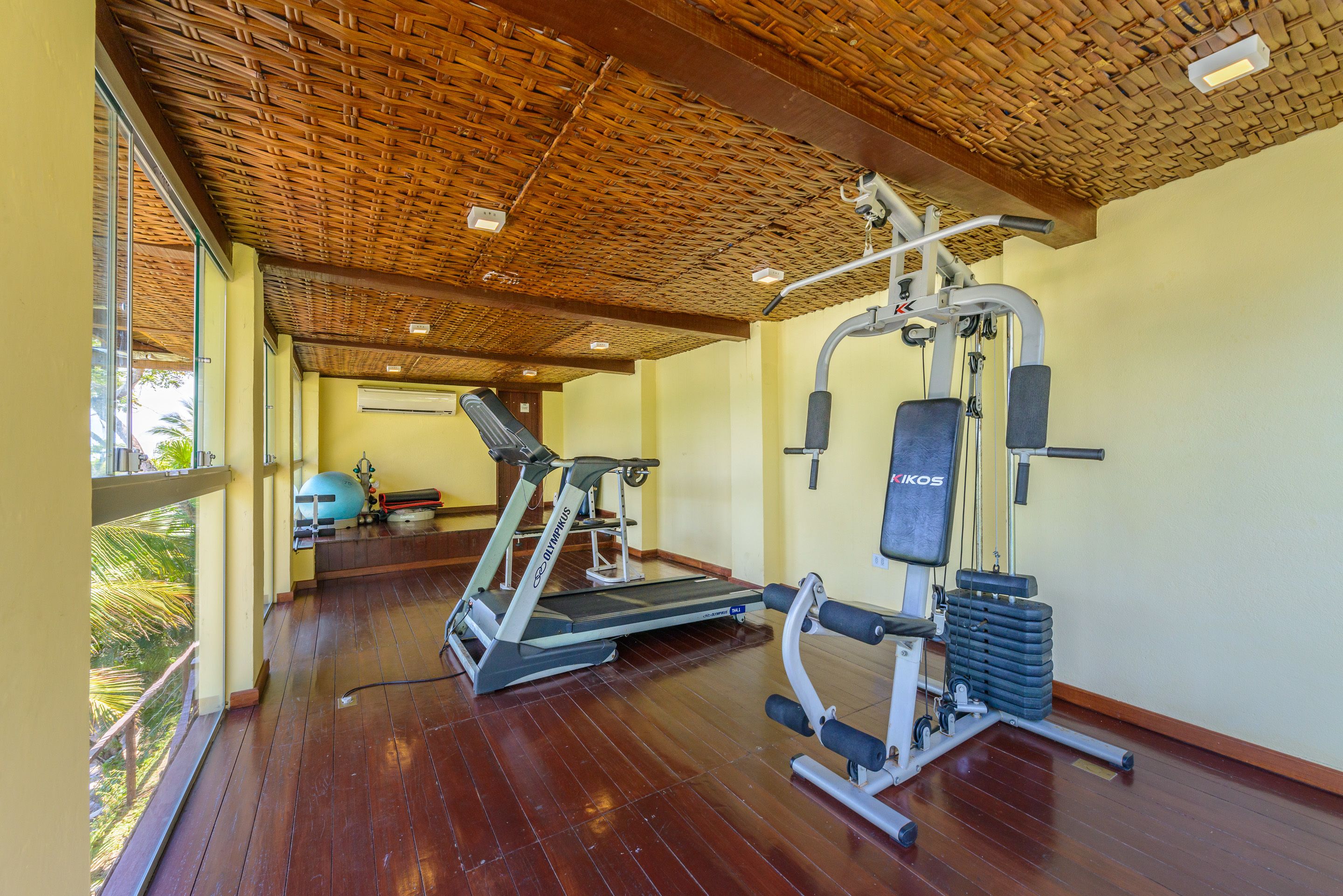 Ein Fitnessstudio mit Laufband, Kraftgeräten und einem großen Trainingsball.