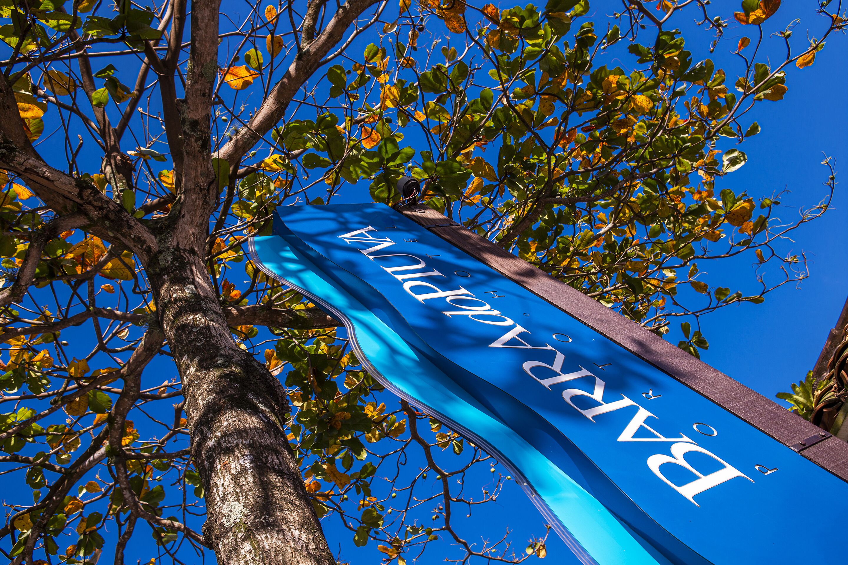 Un banner azul con el texto "BARAKADRI" sobre un cielo azul despejado, parcialmente oculto por ramas de árboles.