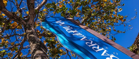 Un banner azul con el texto "BARAKADRI" sobre un cielo azul despejado, parcialmente oculto por ramas de árboles.