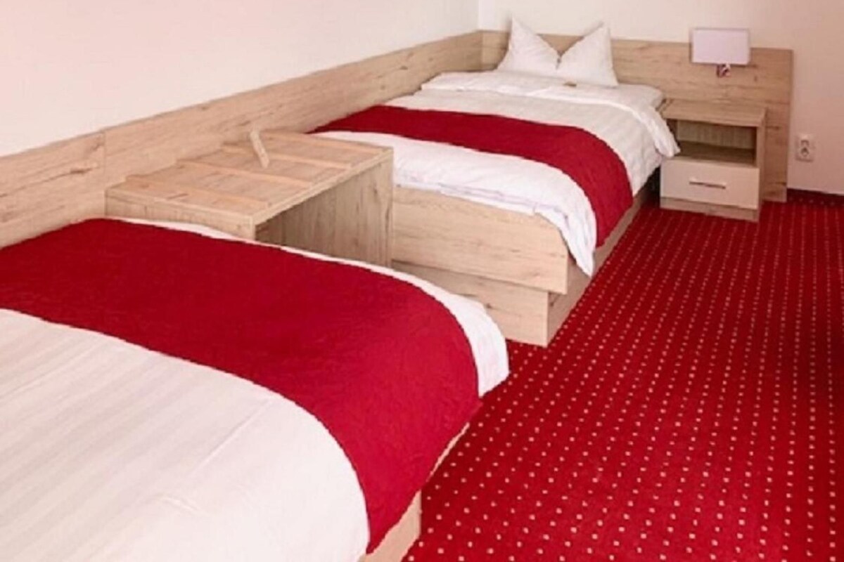 A bedroom with two beds, a wooden headboard, a small bedside table, a wall-mounted TV, and a red carpet.