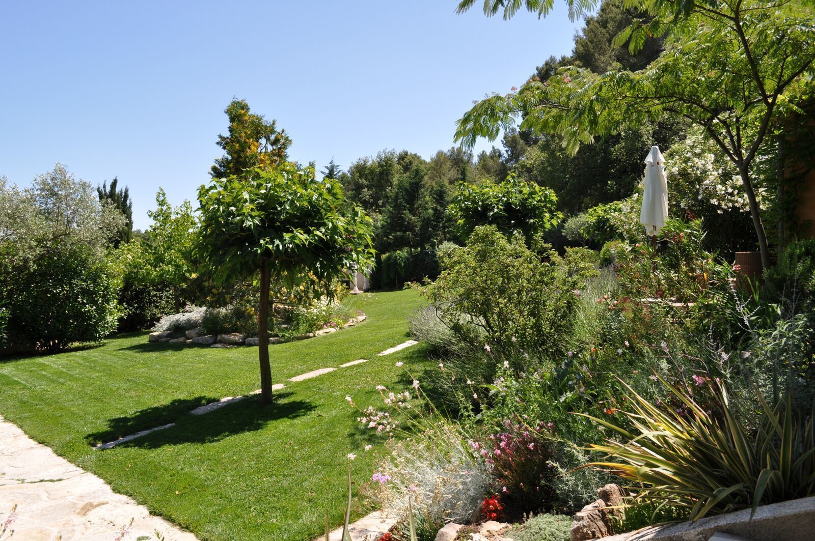 A well-maintained garden with a variety of plants and a statue.
