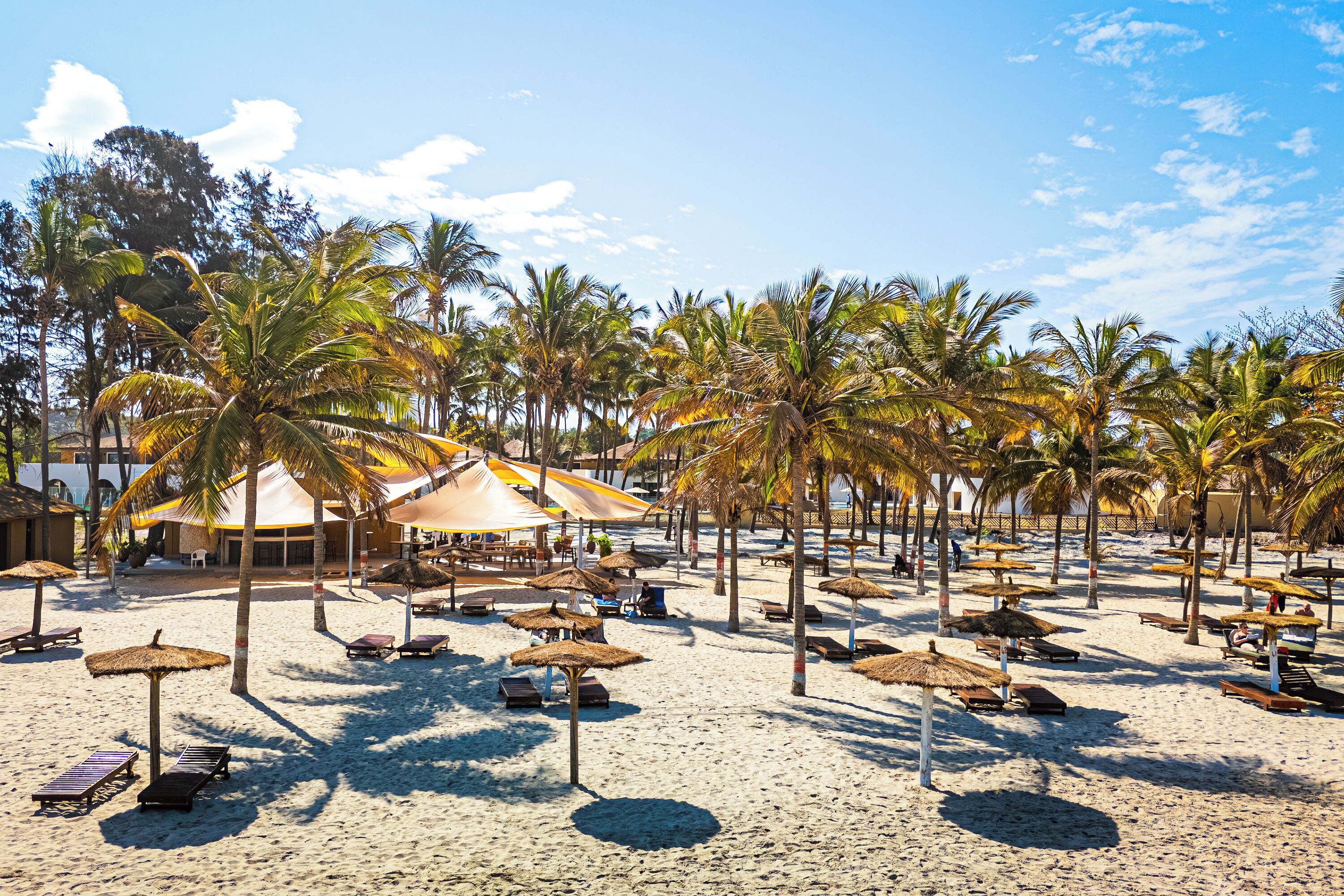 Una playa con palmeras, sillas de playa y sombrillas de paja.