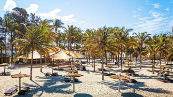 Una playa con palmeras, sillas de playa y sombrillas de paja.
