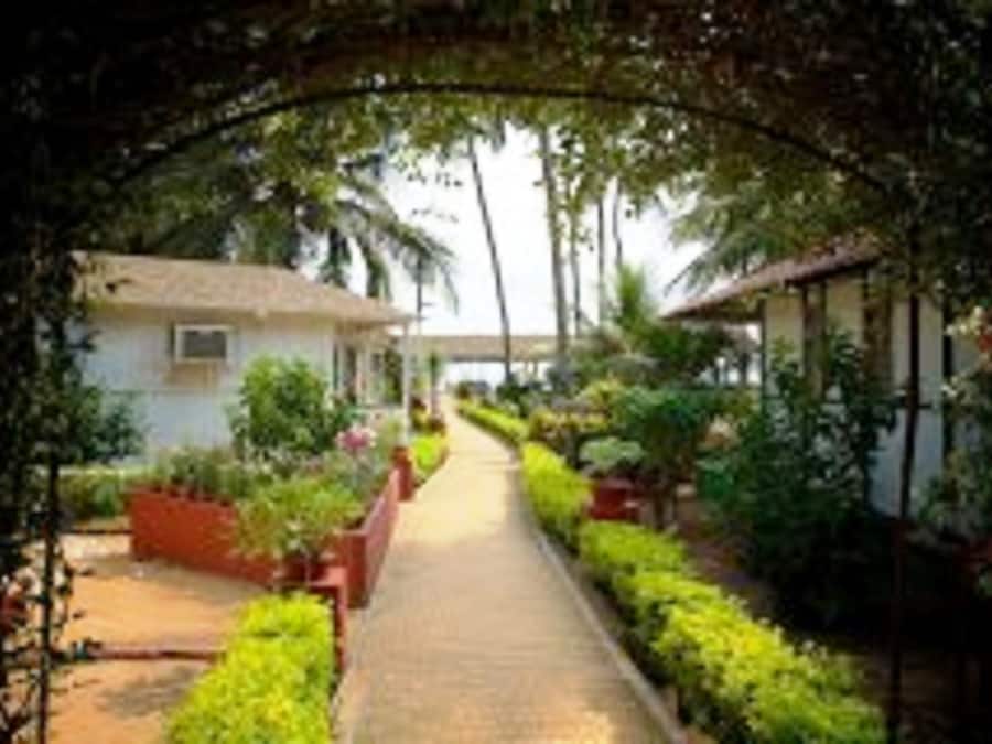 A pathway leading to a building with a thatched roof, surrounded by lush greenery and palm trees.