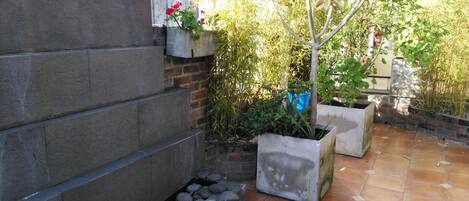 A courtyard with stone steps leading to a small water feature, surrounded by potted plants and a tree.