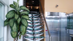 A staircase with glass railings, a potted plant, and a stainless steel elevator. - Hotel AyB Internacional (Buenos Aires)