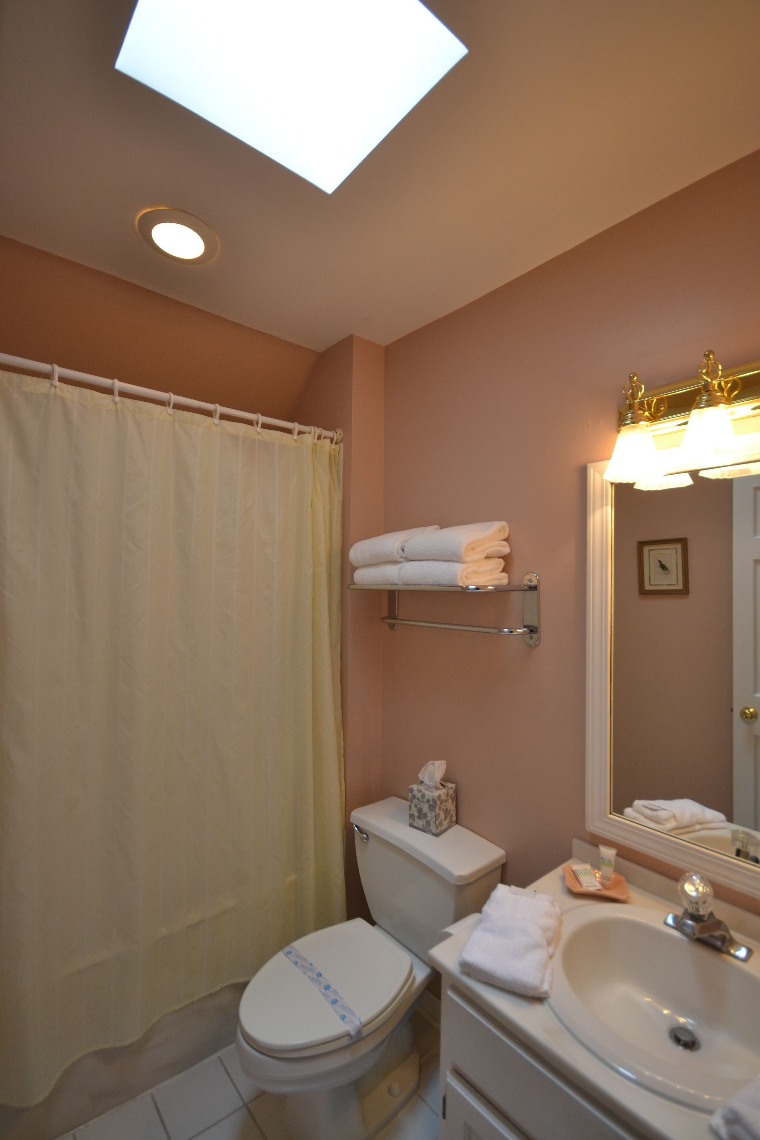 Une salle de bain avec un puits de lumière, des toilettes, un lavabo et un porte-serviettes.