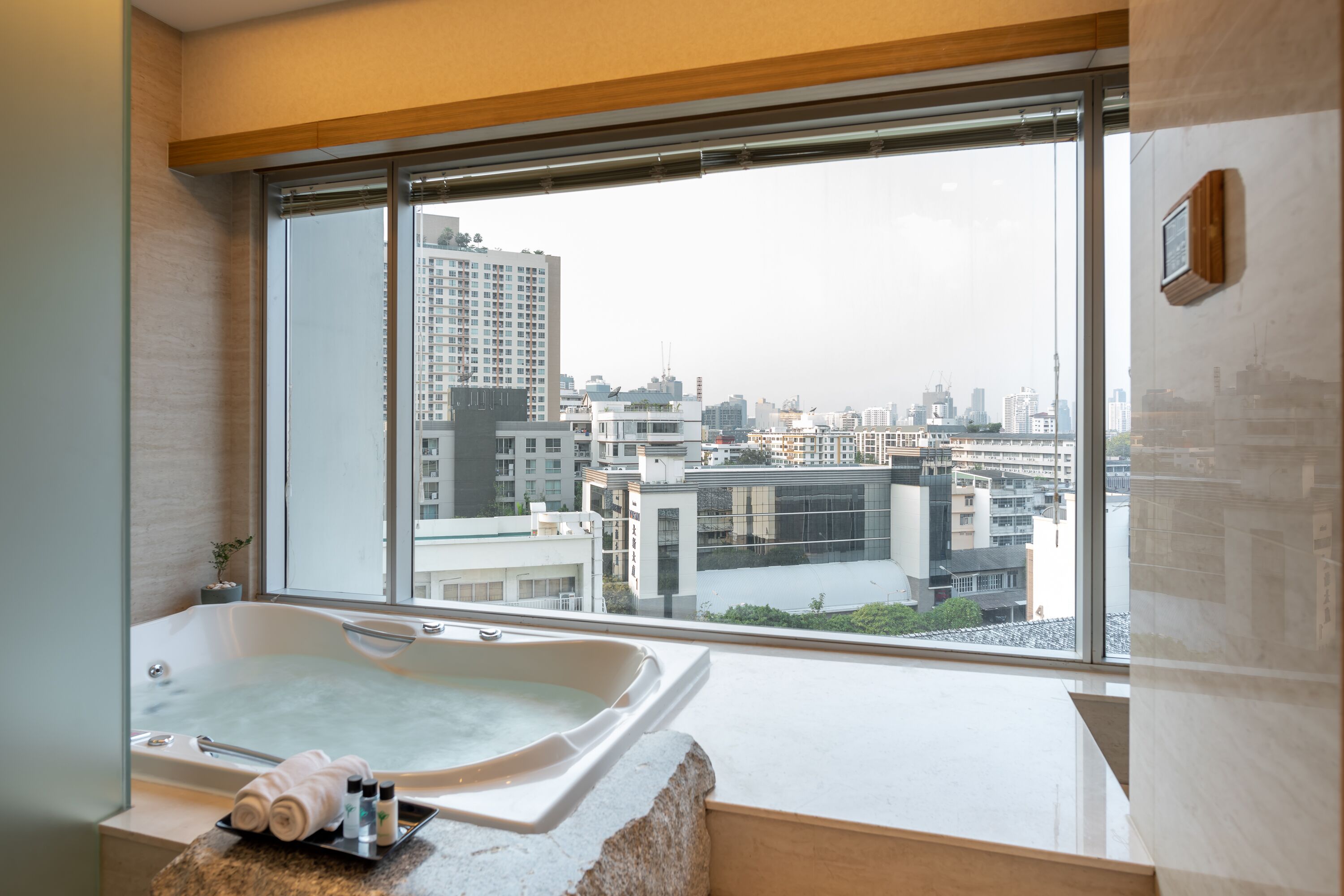 presidential jacuzzi suite | view from room