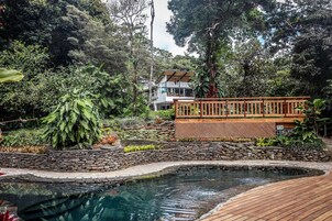 Zona de piscina con terraza de madera, rodeada de abundante vegetación y un muro de piedra.