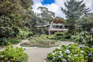 Building design - Monteverde Lodge (Monteverde)