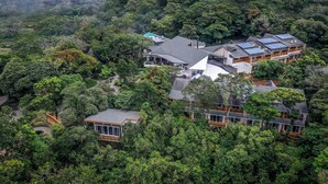Un immeuble à plusieurs étages, doté de grandes fenêtres et de panneaux solaires, entouré d’une forêt dense.