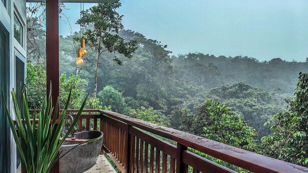 Une terrasse en bois agrémentée d’un jardinier en pierre et d’un luminaire suspendu, offrant une vue imprenable sur un paysage forestier luxuriant.