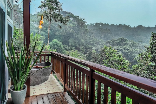 Quetzal Suite | View from room