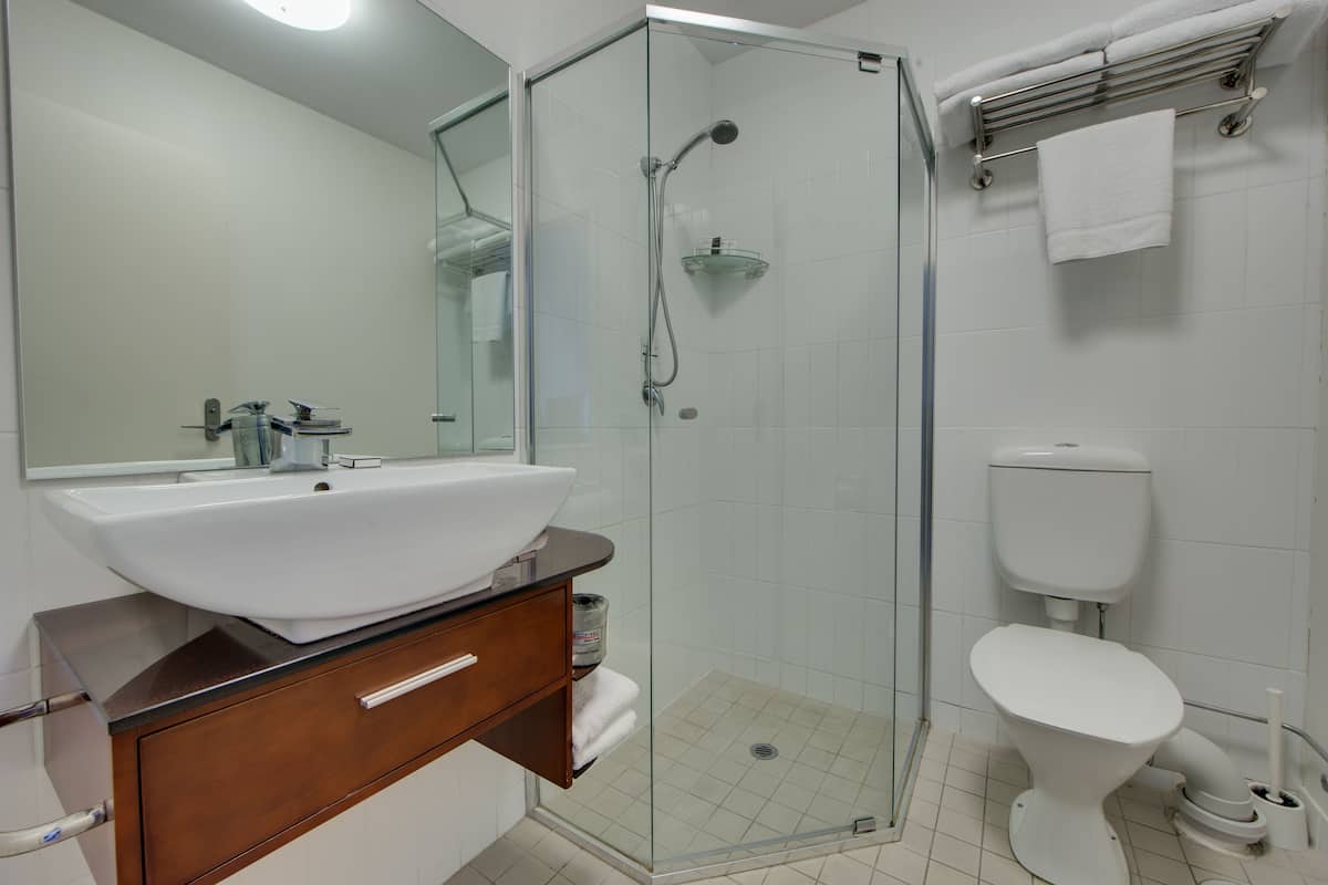 shower, designer toiletries, hair dryer, towels