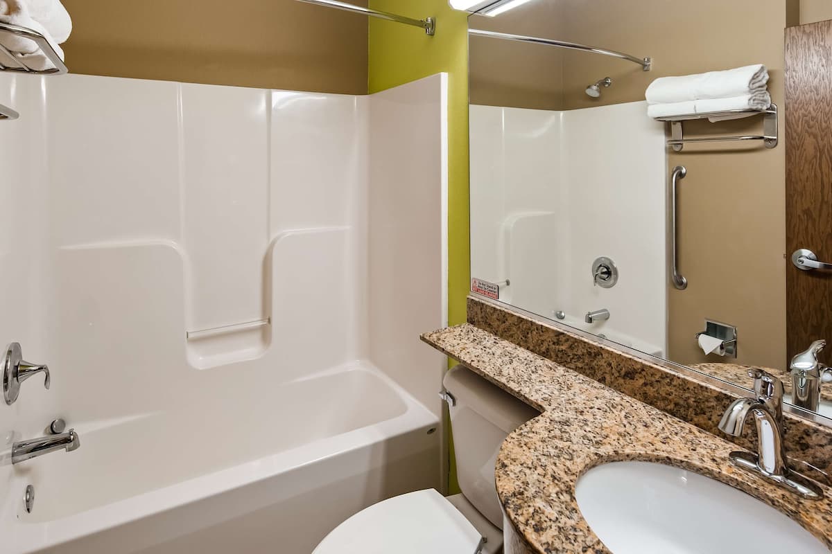 combined shower/bathtub, free toiletries, hair dryer, towels