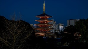 A multi-tiered pagoda with illuminated tiers and a golden spire, surrounded by trees and modern buildings. - Residential Hotel B:CONTE Asakusa (Tokyo)