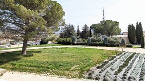 A landscaped area with a large tree, a neatly trimmed lawn, and a row of shrubs. - Complexe Hôtelier Regain (Sainte-Tulle)
