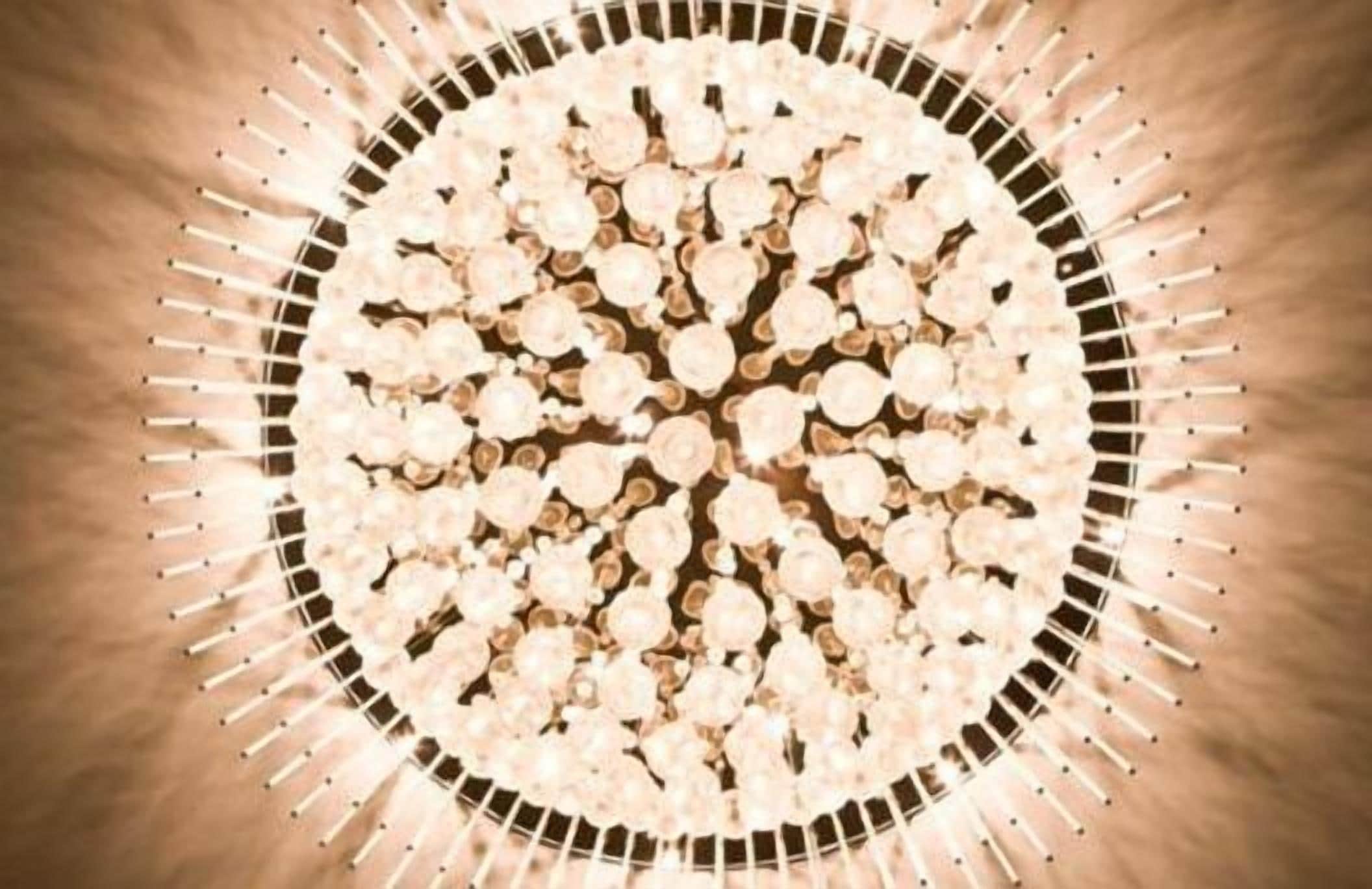 Photo - Carillon Plaza Hotel