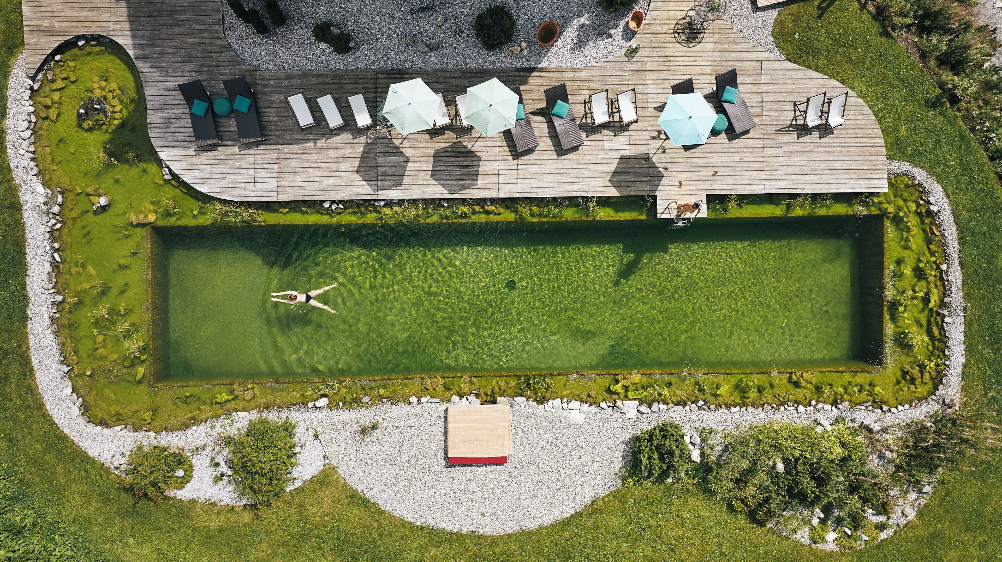 Outdoor pool, pool umbrellas, pool loungers