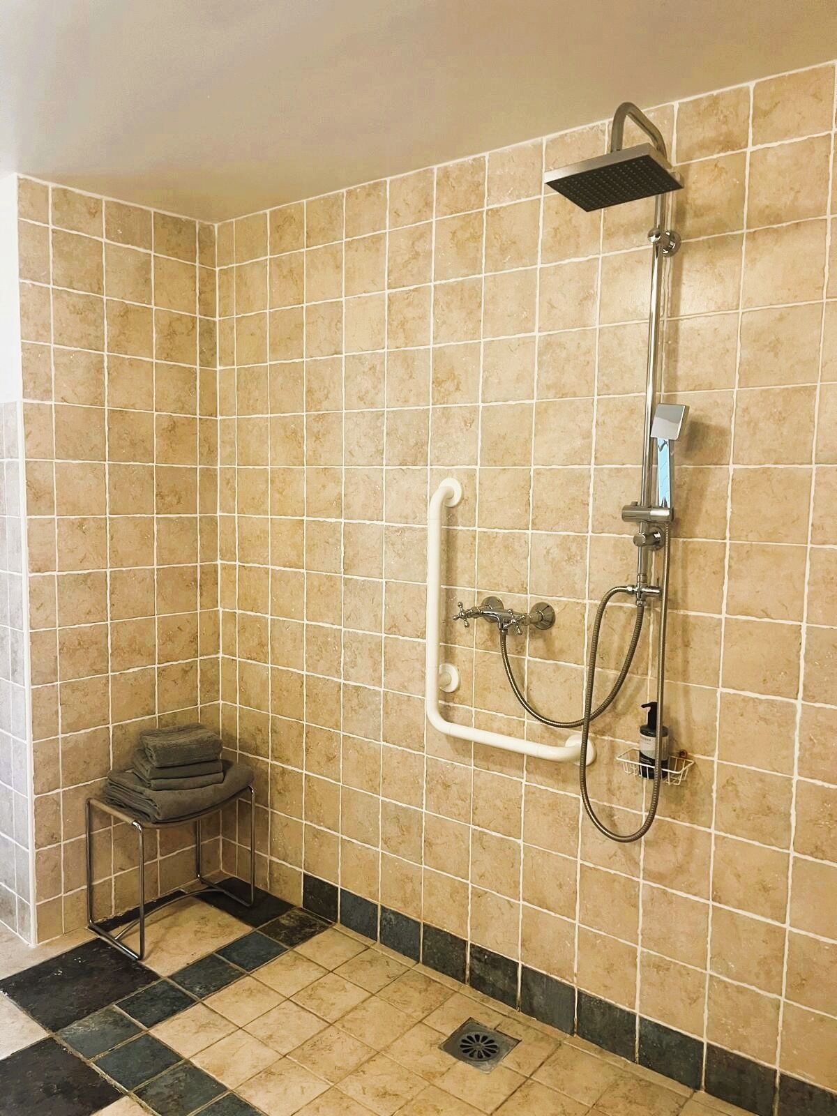 Un espace douche équipé d’un pommeau de douche à main, d’un robinet mural et d’une barre d’appui.