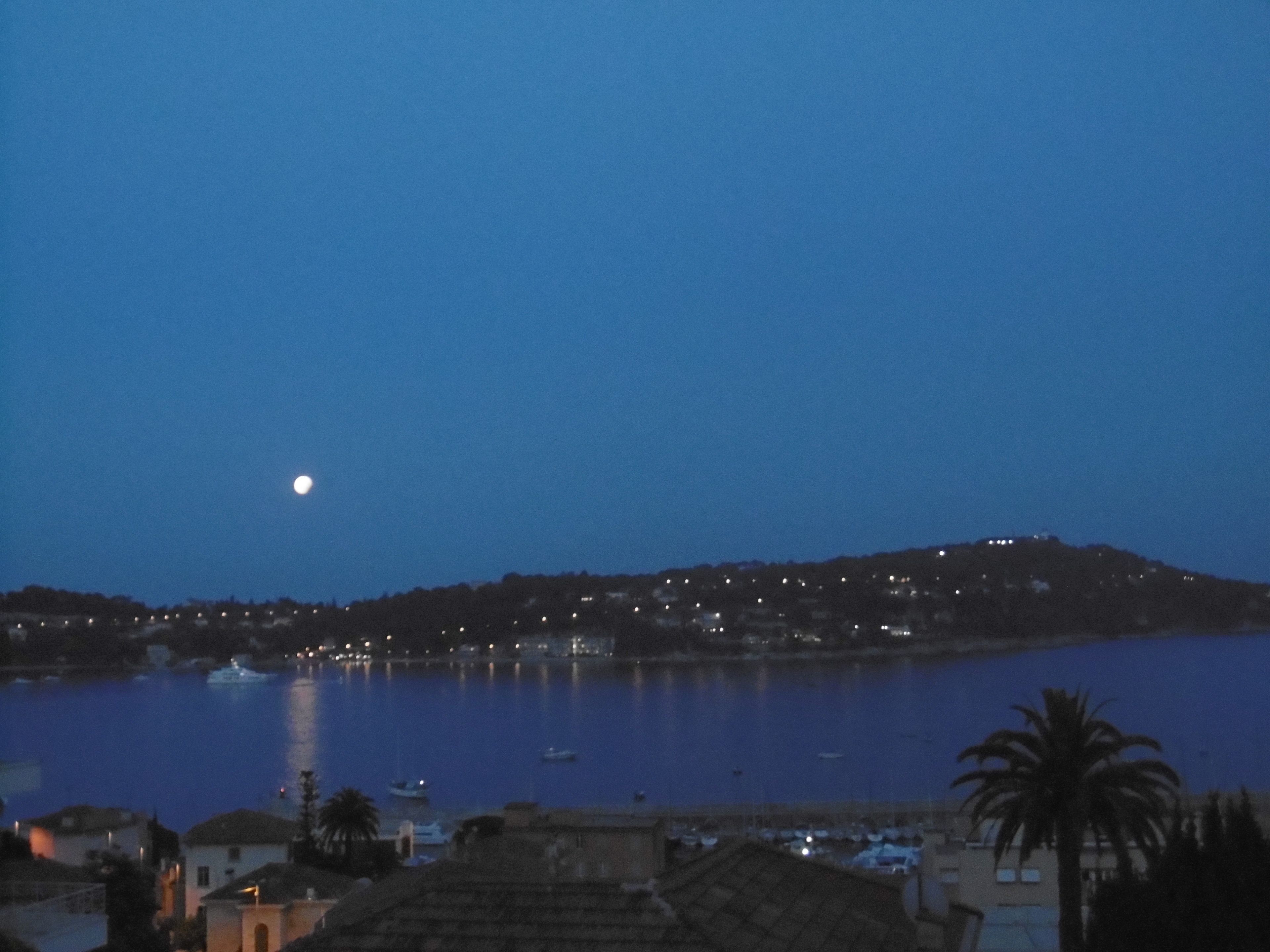 Foto - Hôtel La Flore