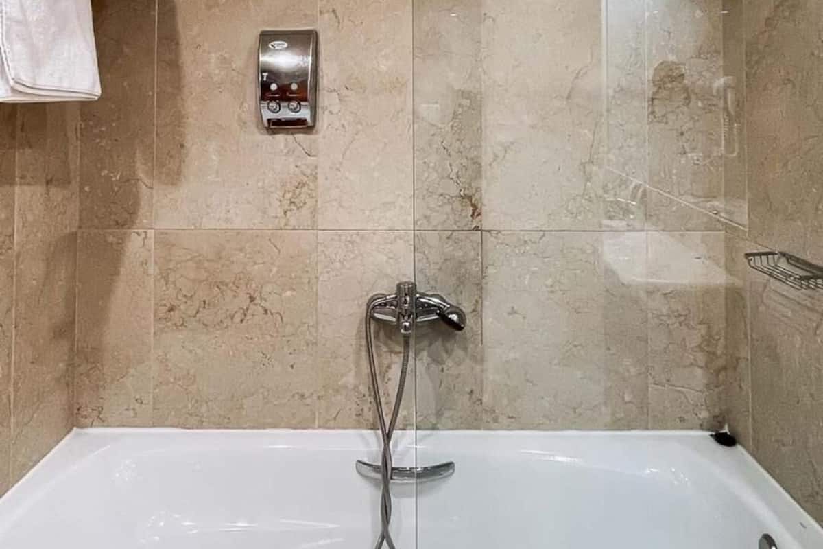 free toiletries, hair dryer, bidet, towels