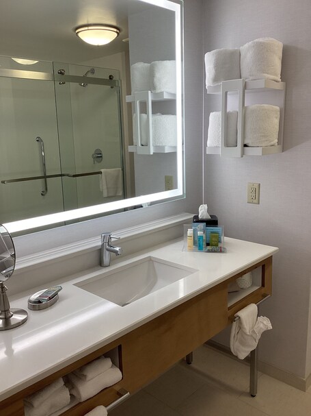Hampton Inn Suites Miami Brickell Downtown - Image 76