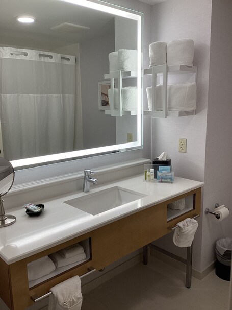 Hampton Inn Suites Miami Brickell Downtown - Image 90