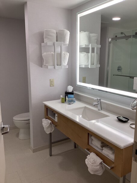 Hampton Inn Suites Miami Brickell Downtown - Image 36