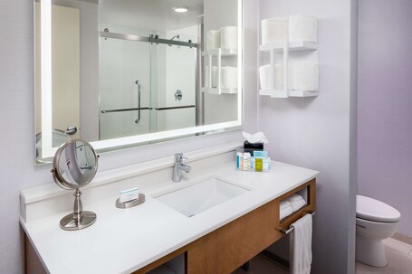 Hampton Inn Suites Miami Brickell Downtown - Image 75