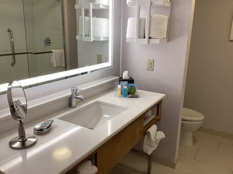 Hampton Inn Suites Miami Brickell Downtown - Image 79