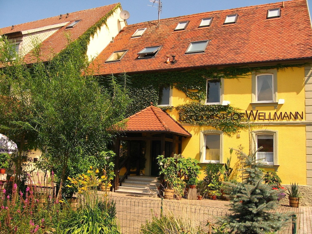 Wellmann image