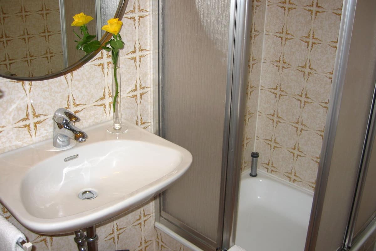 combined shower/bathtub, hair dryer, towels