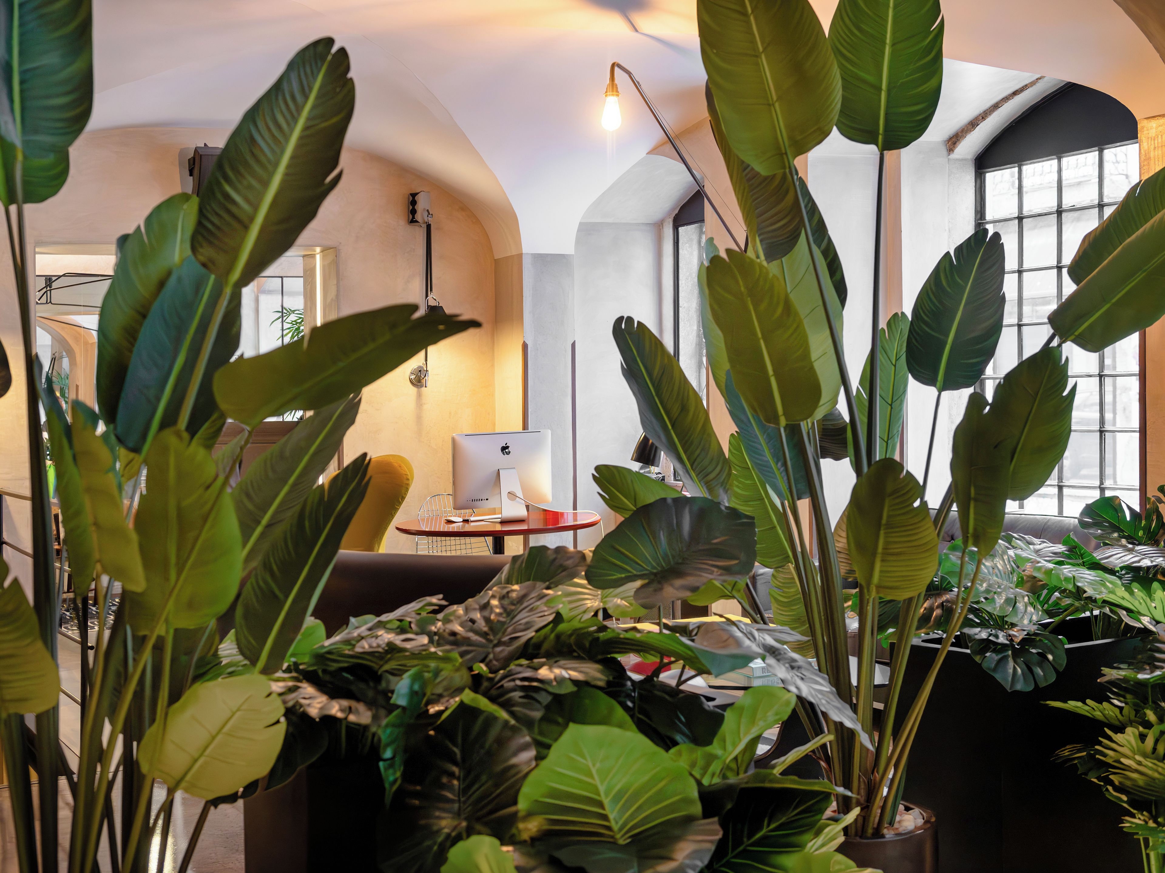 A room with a large window, a desk with a computer, and various potted plants.