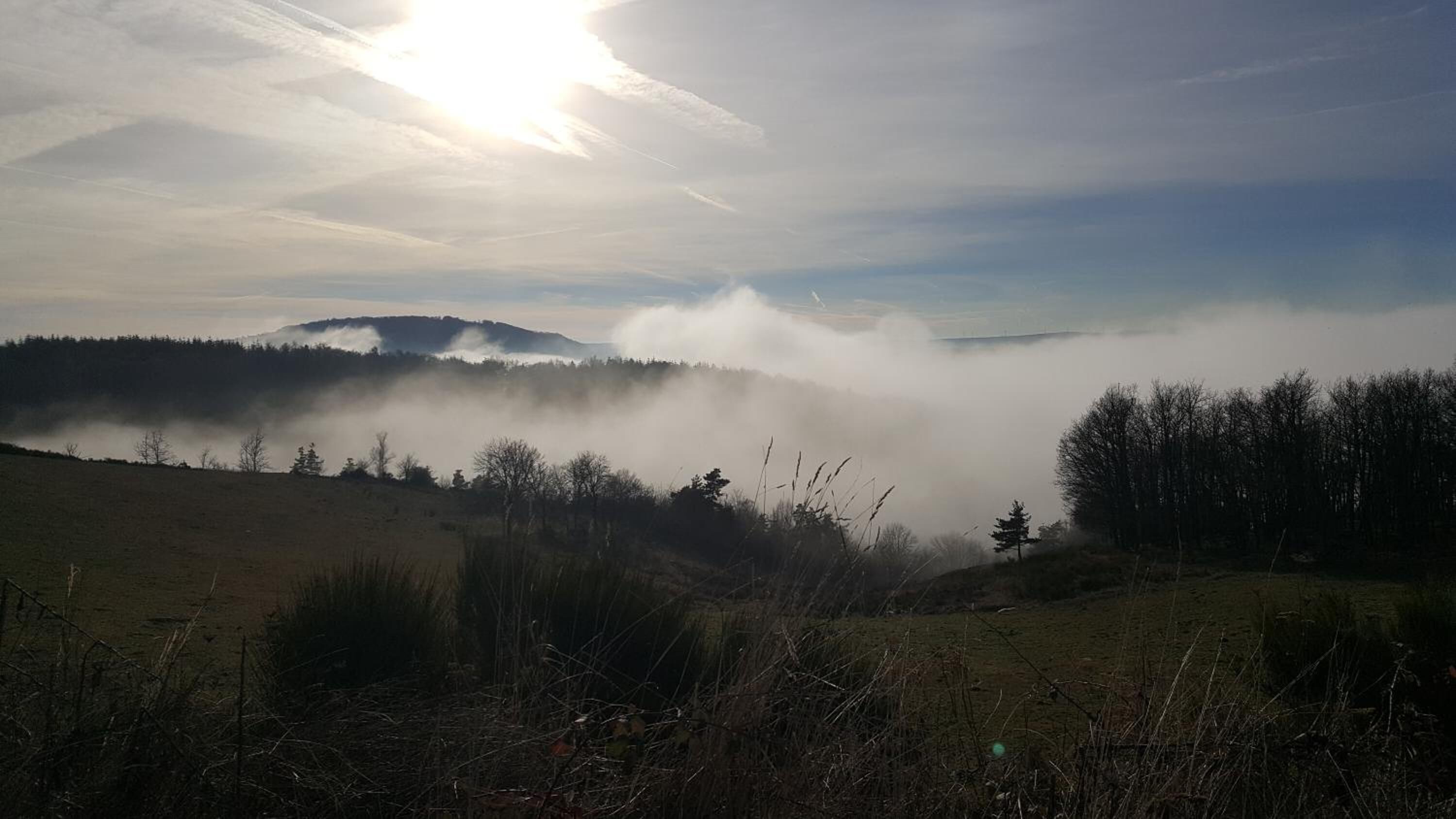 A misty landscape with a sunlit sky, a forested hill, and a grassy foreground.