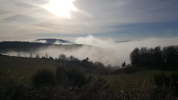 Eine neblige Landschaft mit strahlendem Himmel, einem bewaldeten Hügel und einem grasbewachsen Vordergrund.