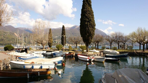 A marina with boats docked, trees, and mountains in the background. - Barchi Resort - Apartments & Suites (San Felice del Benaco)