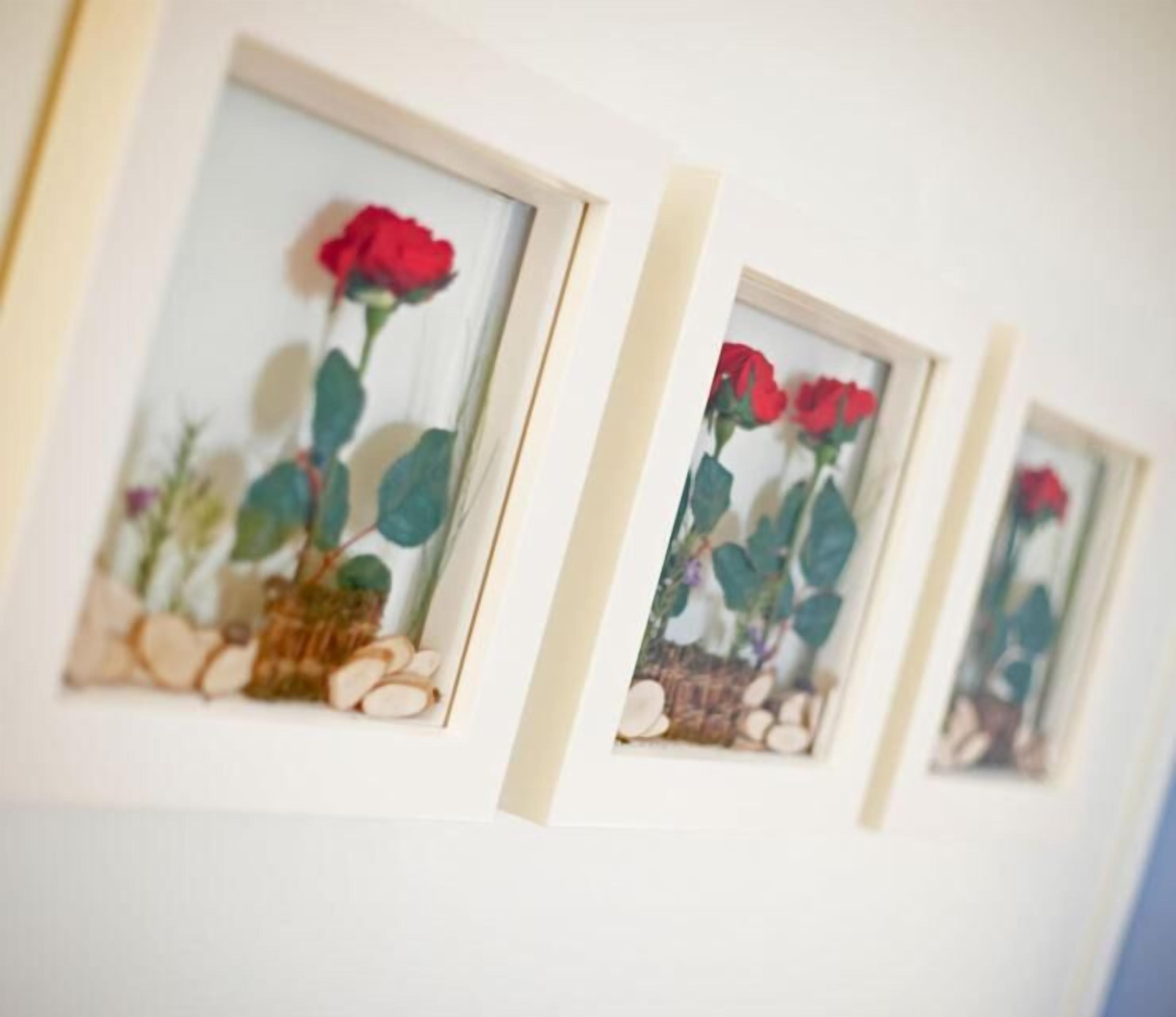 Three framed pictures of red roses on a wall.