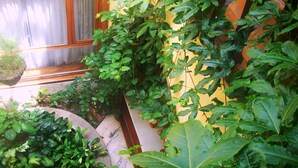 A lush garden with various plants and a wooden structure. - Zuetana 106 (Bogotá)