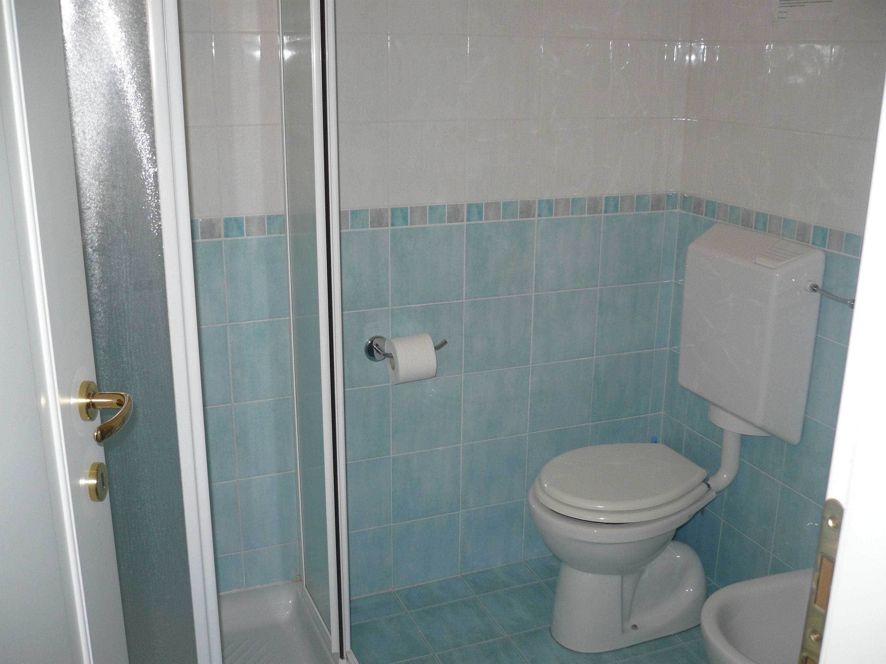 A bathroom with a toilet, a shower, and a toilet paper holder.