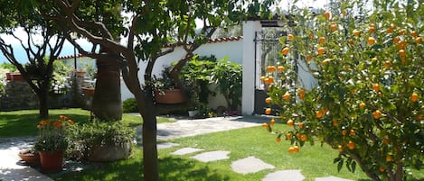 Terrein van de accommodatie