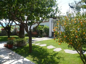 Khuôn viên nơi lưu trú