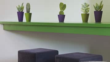 A green shelf with four potted cacti of different shapes and sizes.