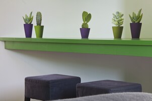 A green shelf with four potted cacti of different shapes and sizes.