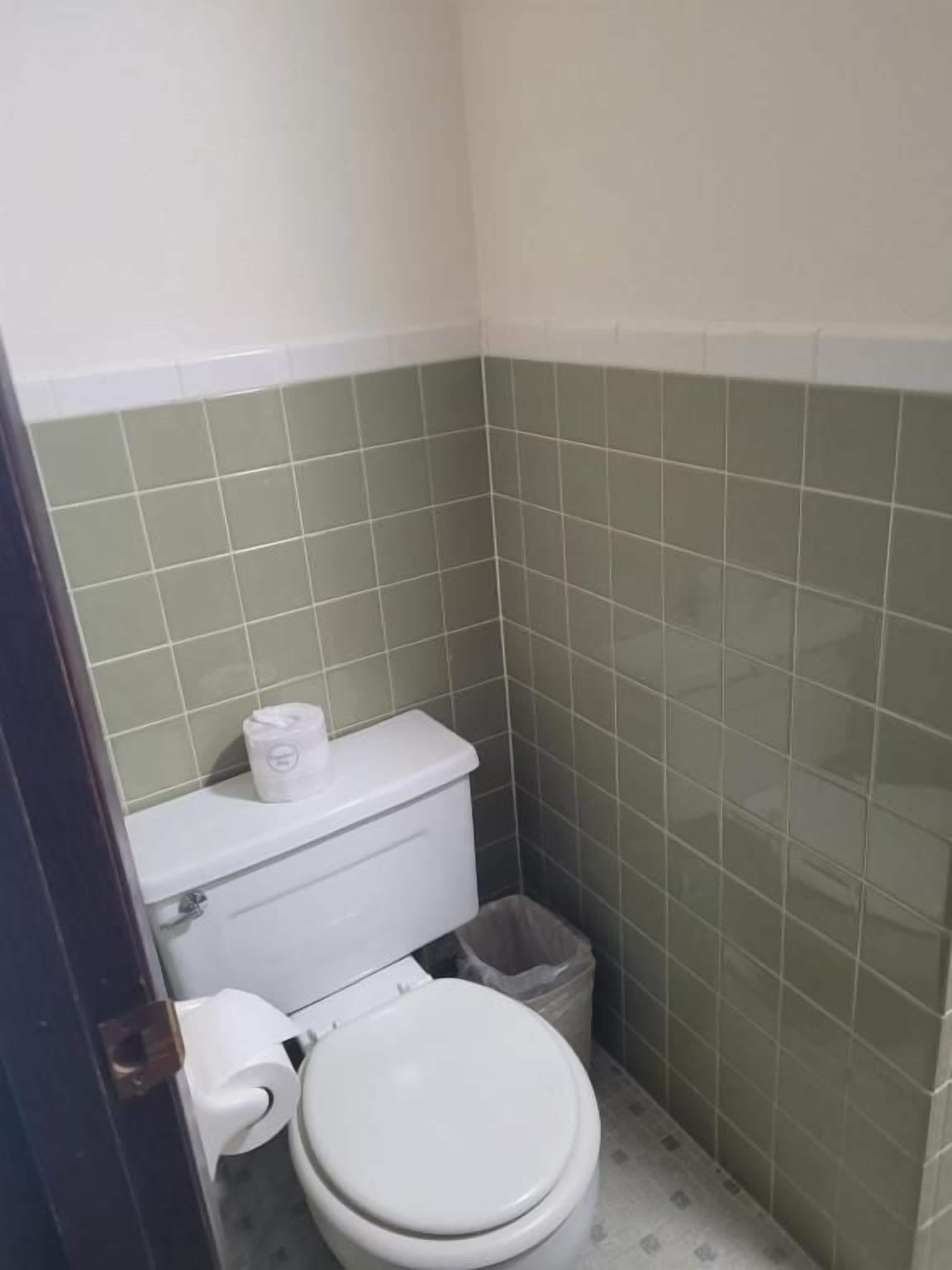 A small bathroom with a toilet, a trash bin, and a roll of toilet paper on the wall.