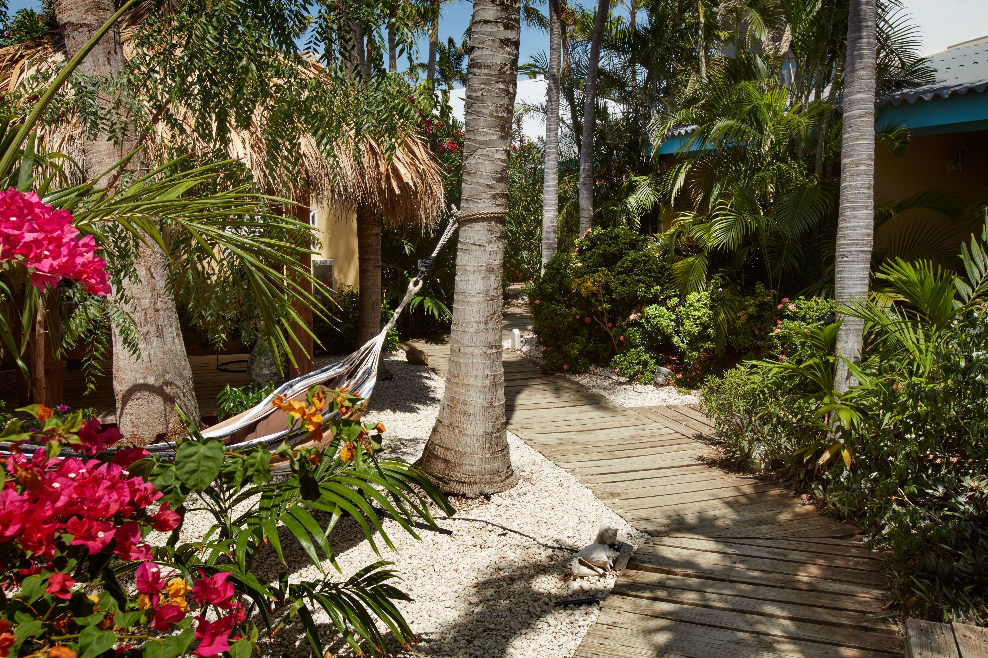 suite, 1 bedroom | terrace/patio